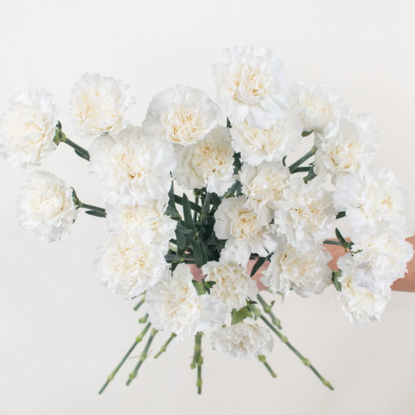 8 White Carnations Flower Bouquet - Small